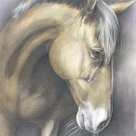 Hand Drawn DaVinci Sketch of A Brown Horse from Its Photo - myDaVinci